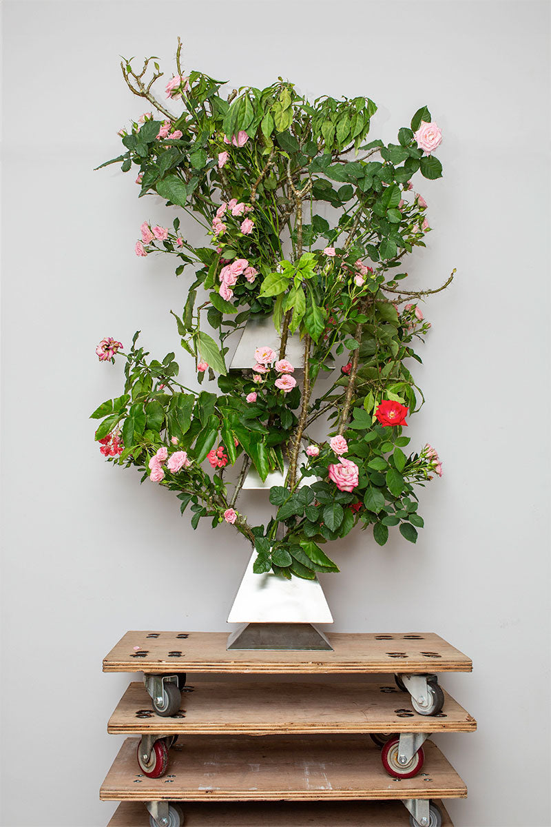 TOTEM no.1