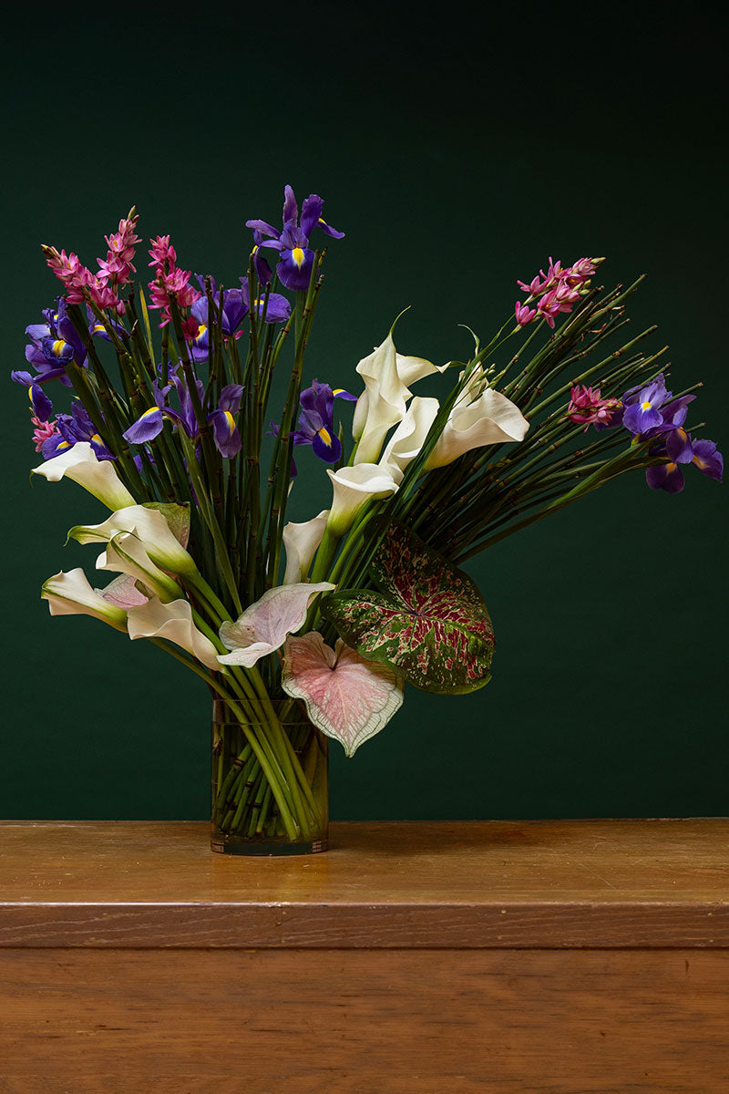"IRISES"