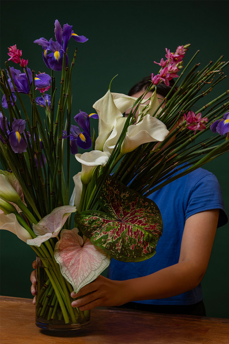 "IRISES"
