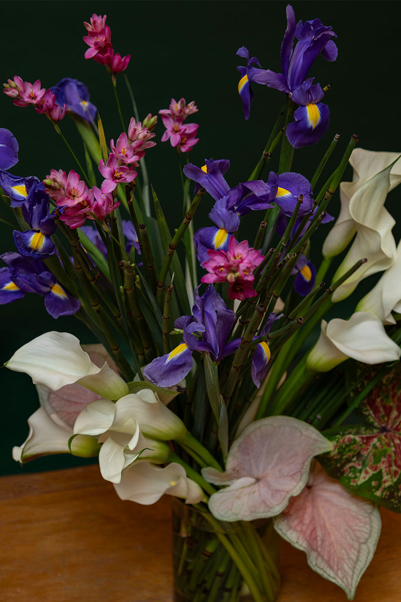 "IRISES"
