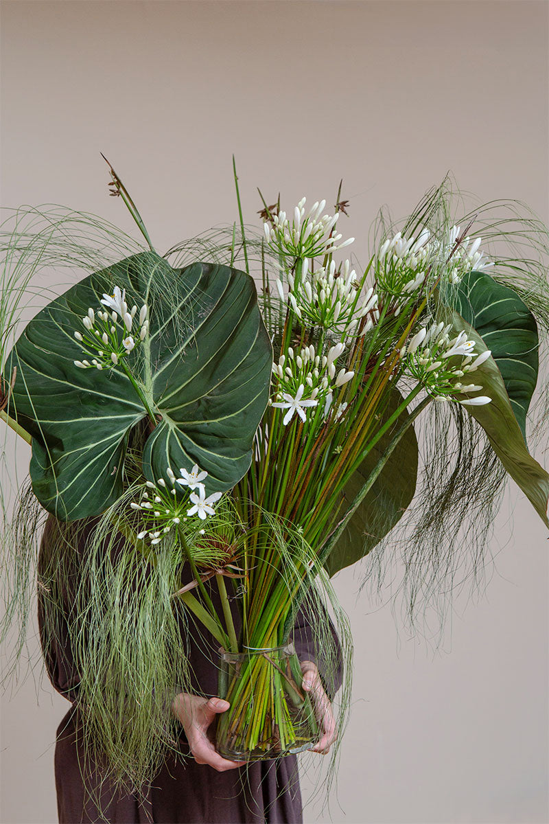 THE GREEN COMPOSITION