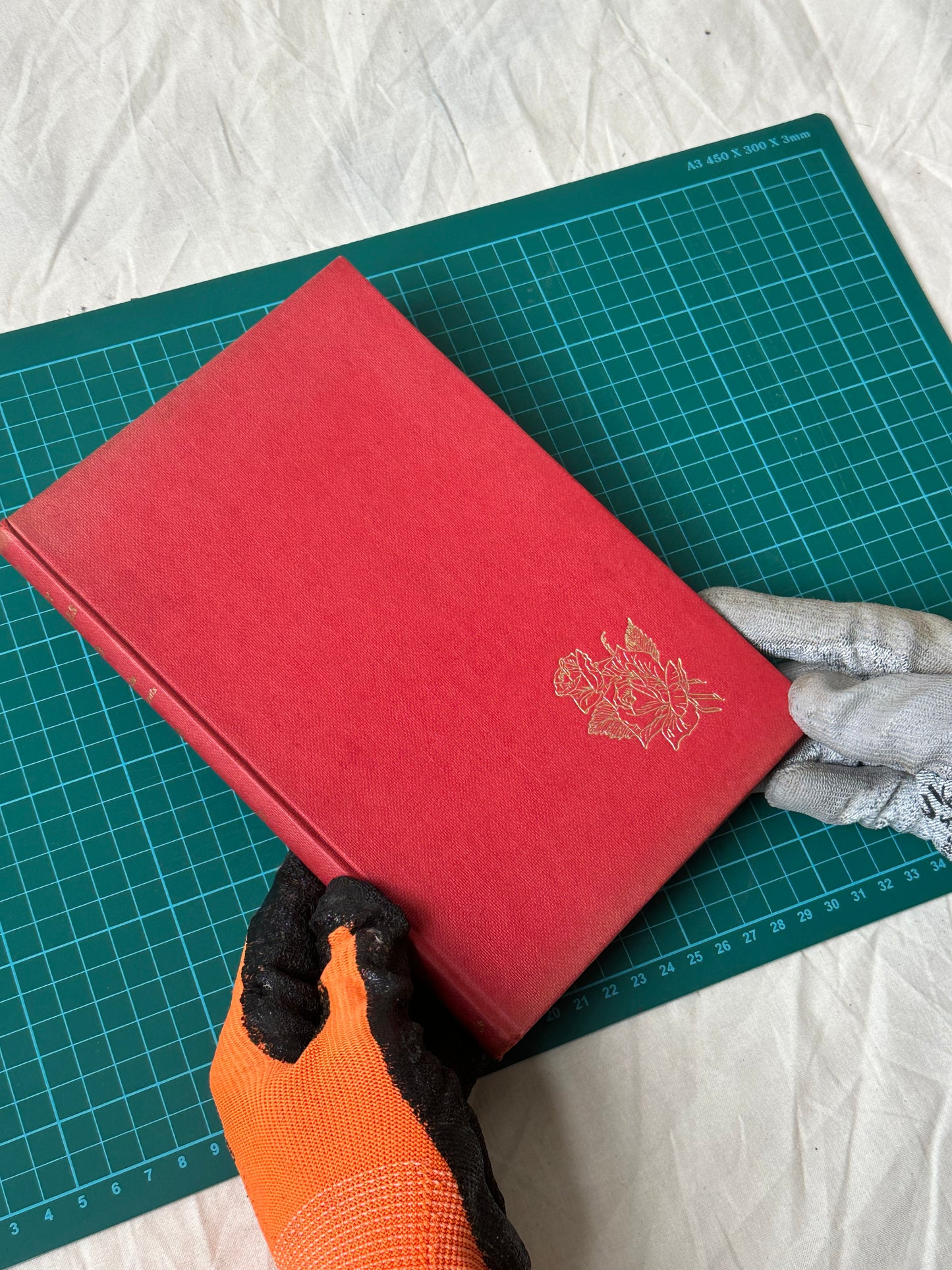 My Roses - Julia Clements, Published 1958