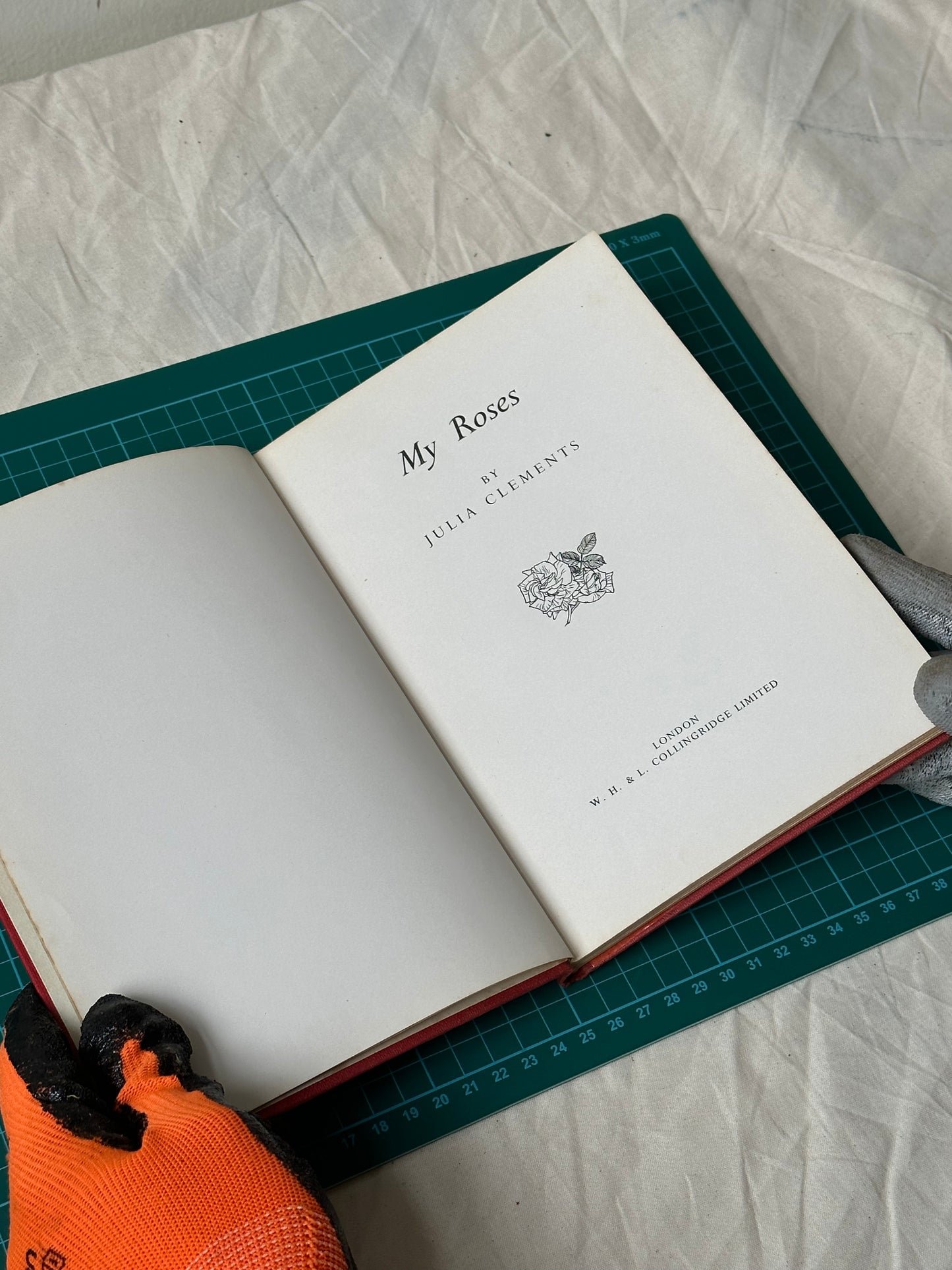 My Roses - Julia Clements, Published 1958