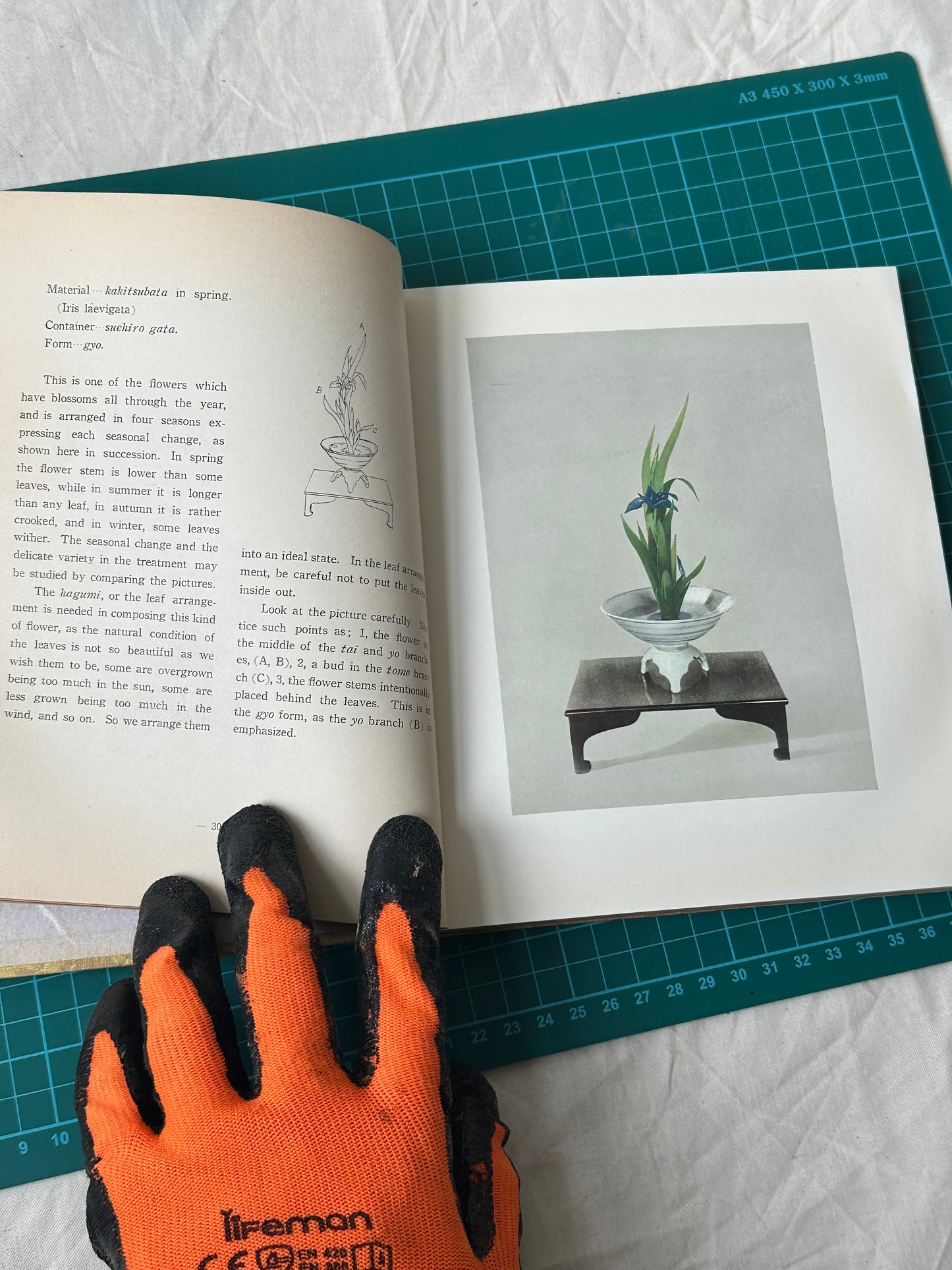 Saga School Flower Arrangement, Published 1953