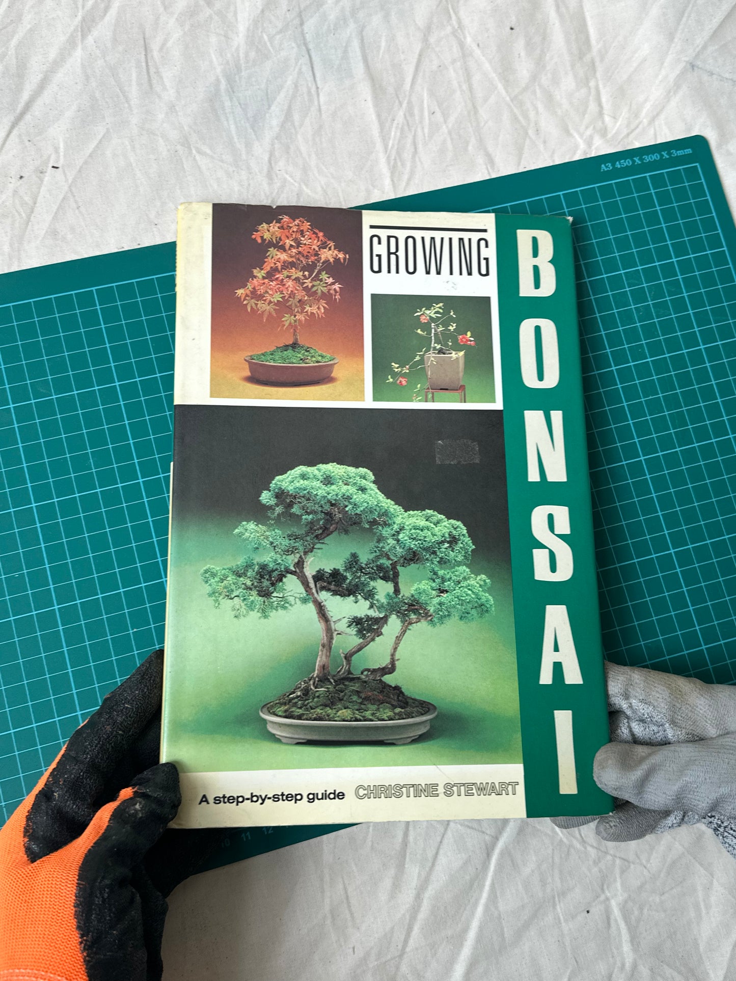 Growing Bonsai, Christine Stewart, published in 1989