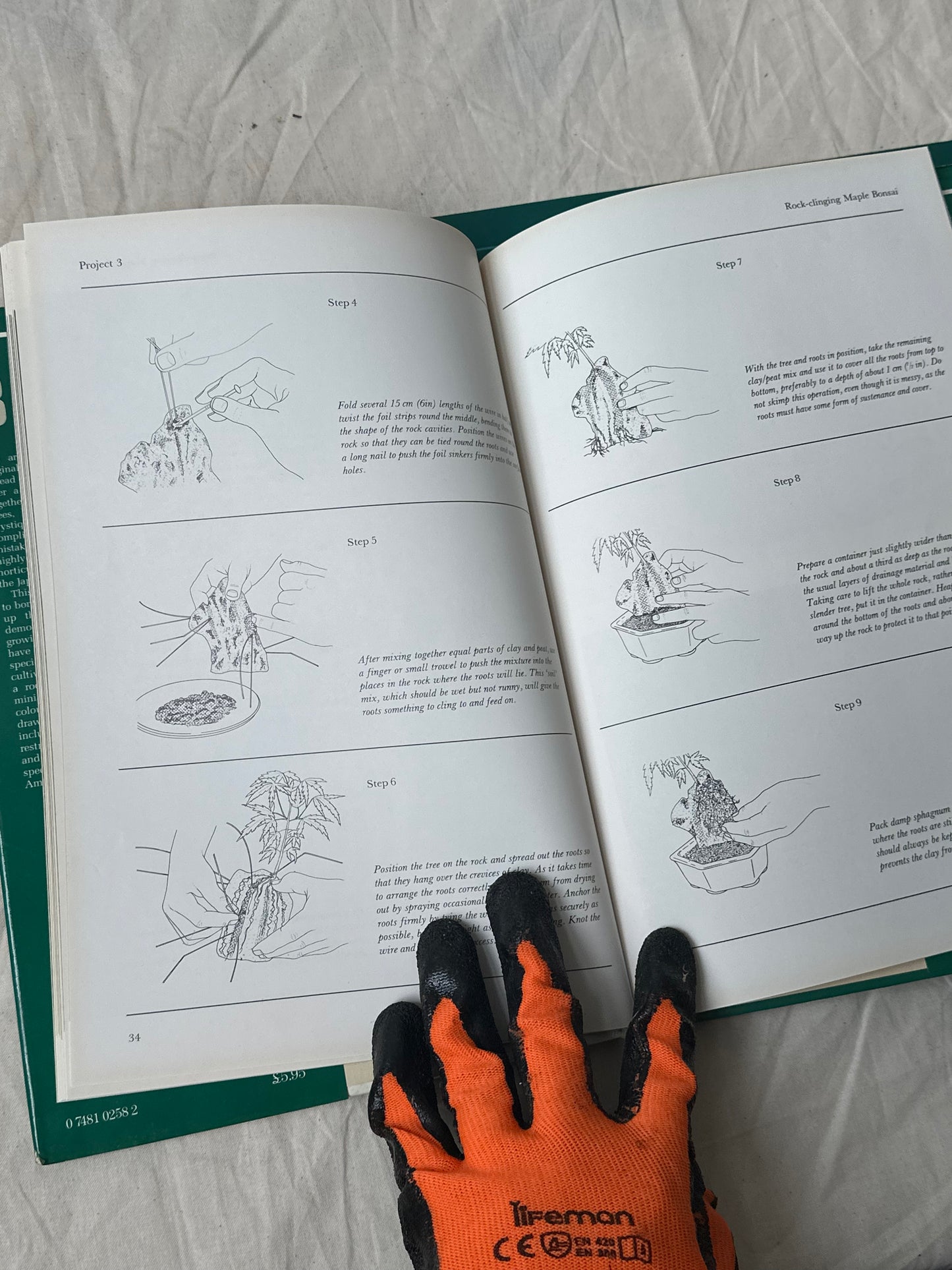 Growing Bonsai, Christine Stewart, published in 1989