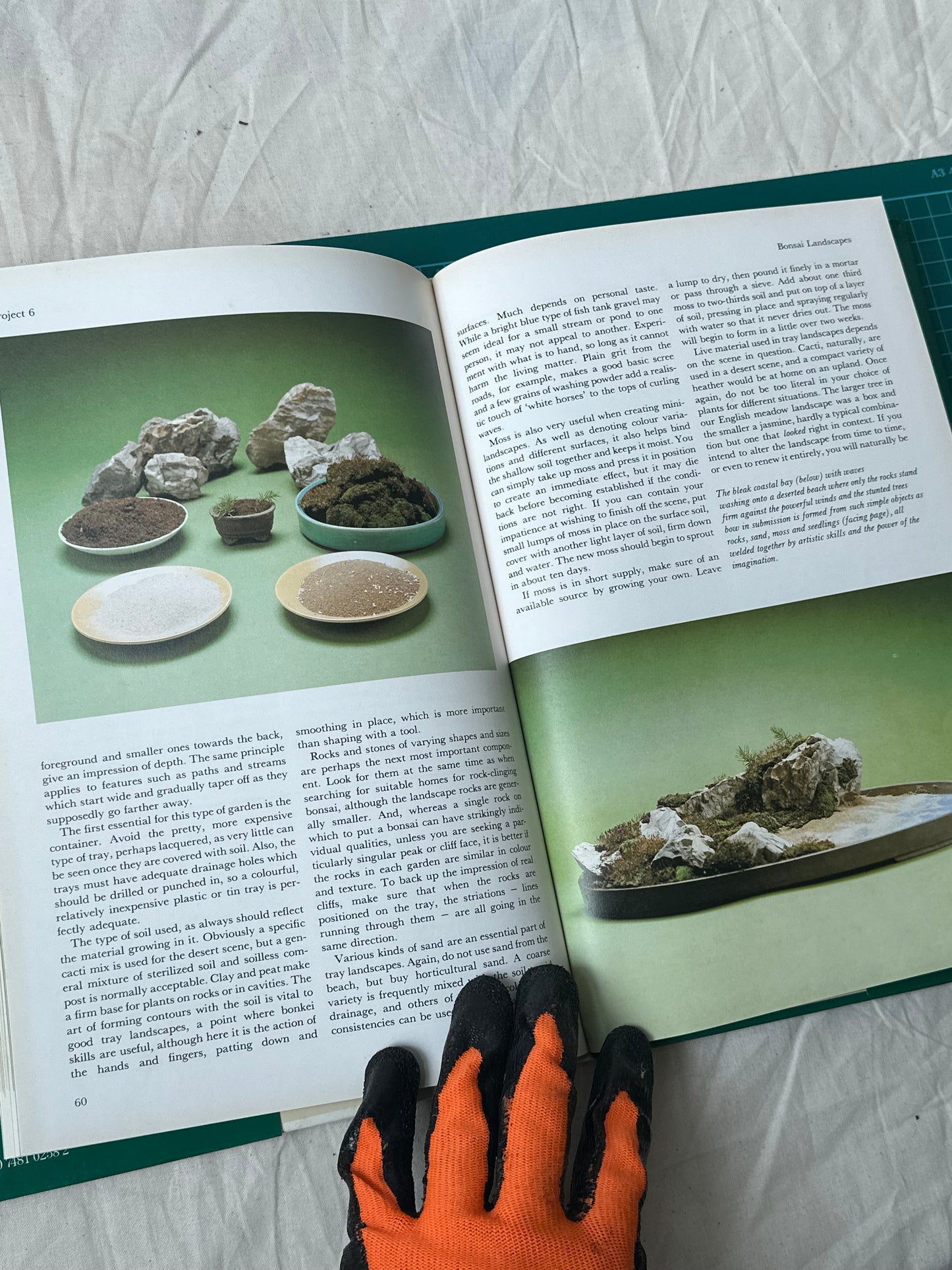 Growing Bonsai, Christine Stewart, published in 1989