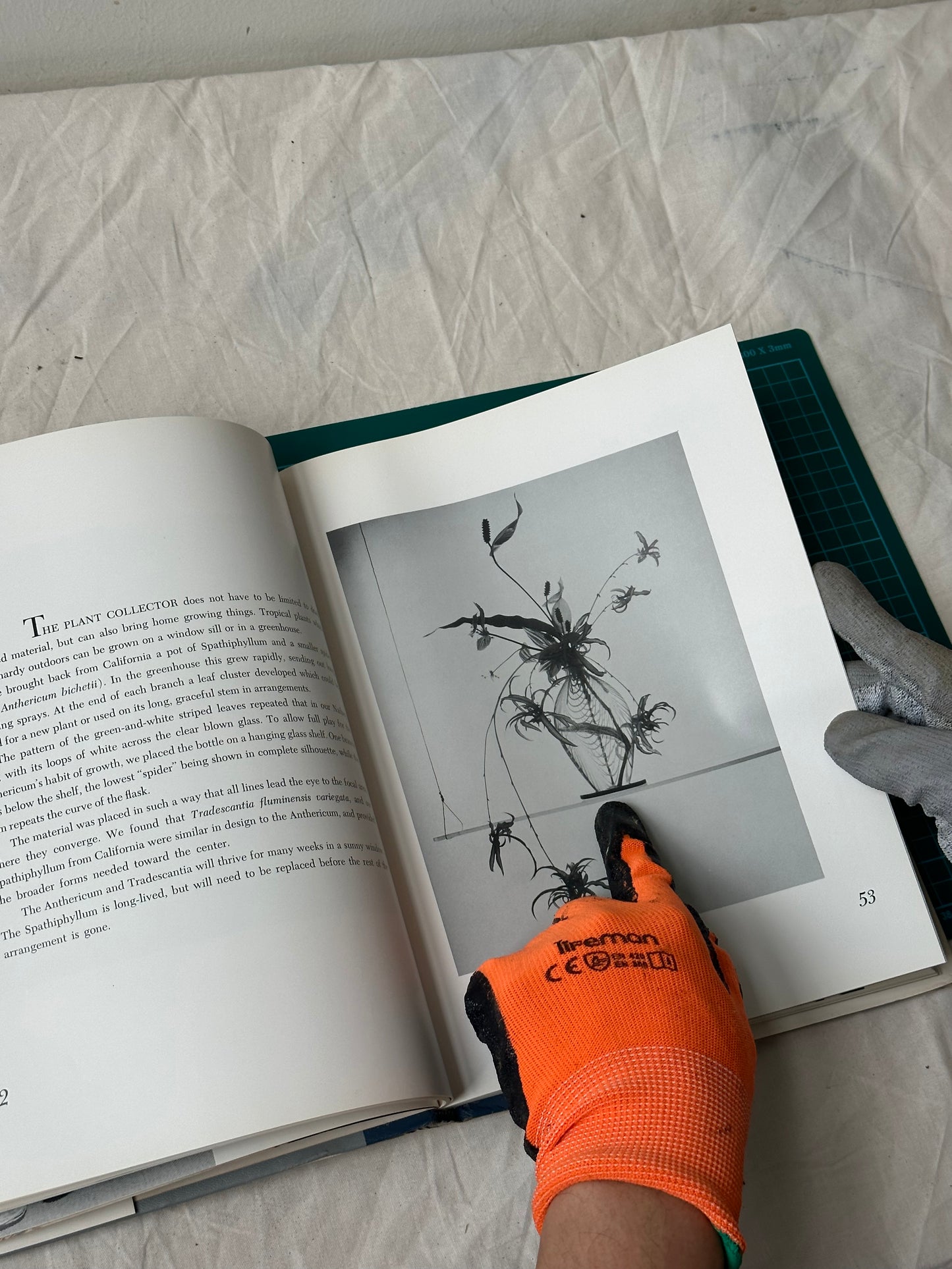 New Horizons In Floral Arrangement, Myra J. Brooks, Mary Alice and John P. Roche, Published in 1961