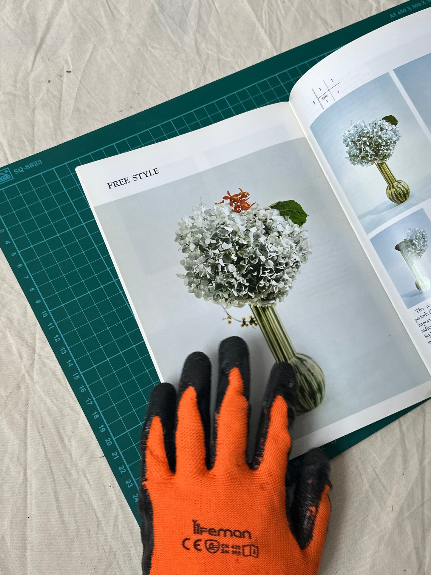 Introduction To The Ikenobo Ikebana : Japanese Flower Arrangement, Ikenobo Sen’ei, Published in 1975
