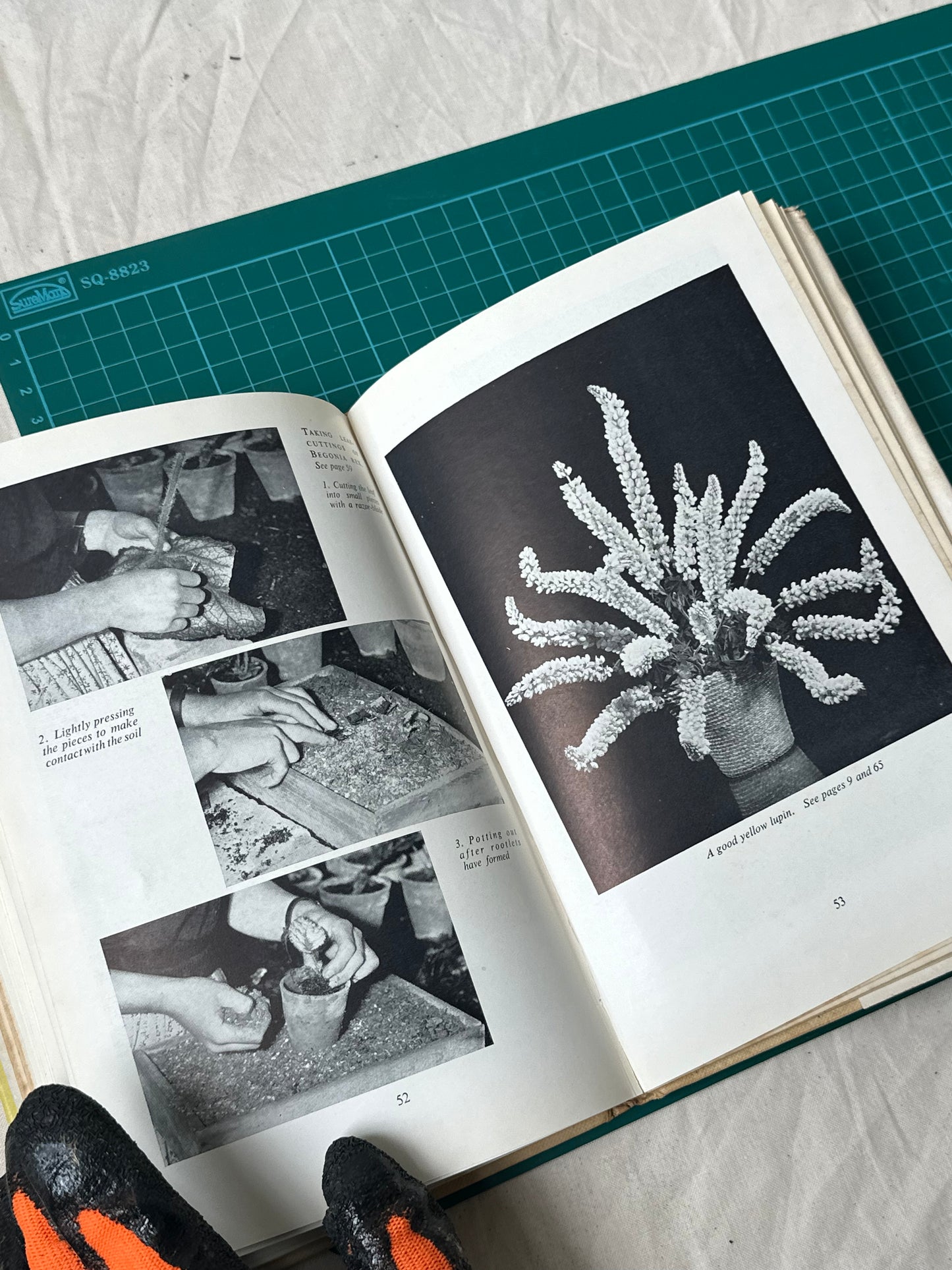 Simple Flowers: A Millionaire For A Few Pence, Constance Spry, published in 1957