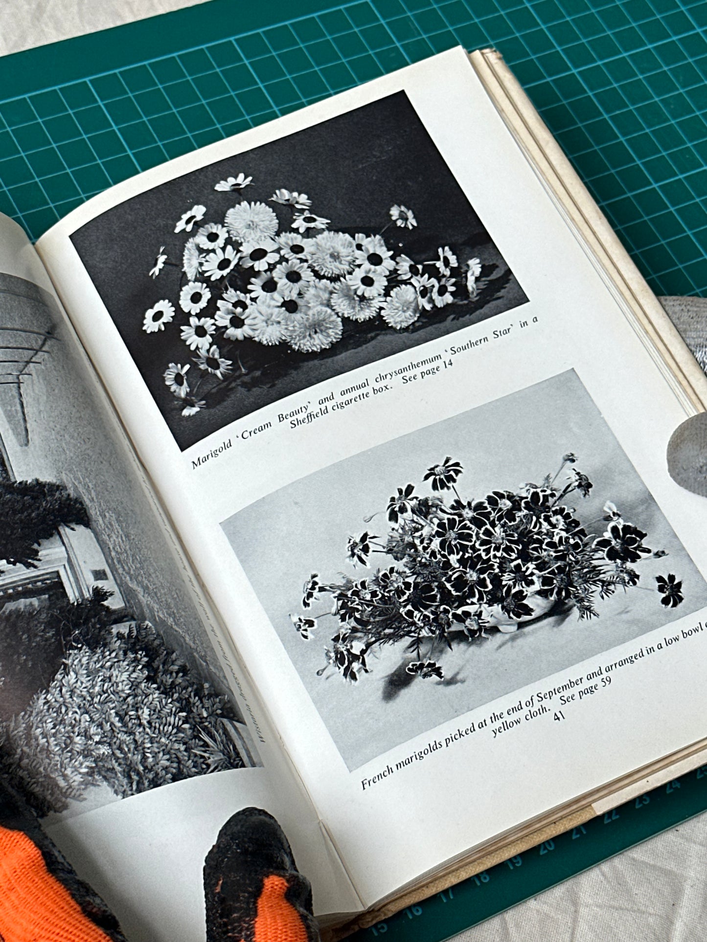 Simple Flowers: A Millionaire For A Few Pence, Constance Spry, published in 1957
