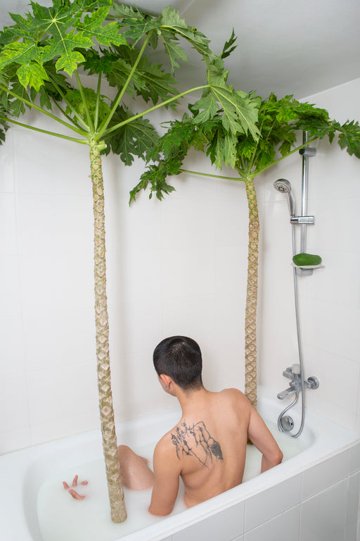 RITUALS OF THE PLANT OBSESSED #1 : BOY IN PAPAIN BATH (LARGE FORMATS)