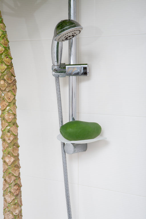 RITUALS OF THE PLANT OBSESSED #1 : BOY IN PAPAIN BATH (SMALL FORMAT)