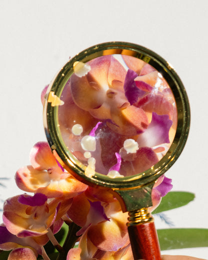 "TECHNICOLOR" Wreath