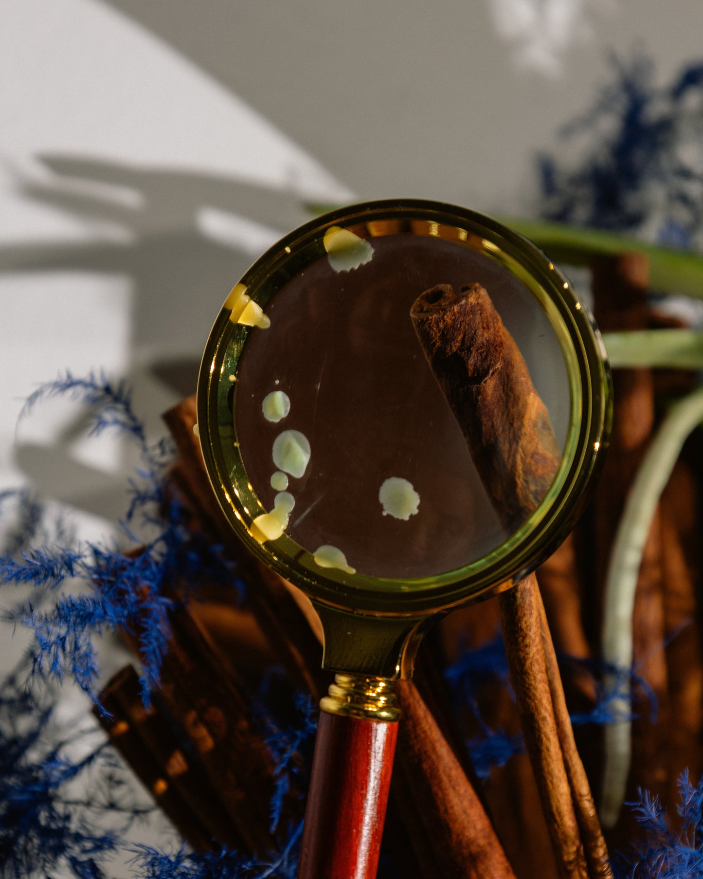 "TECHNICOLOR" Wreath