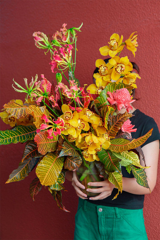 MYSTERY COMPOSITION SUBSCRIPTIONS