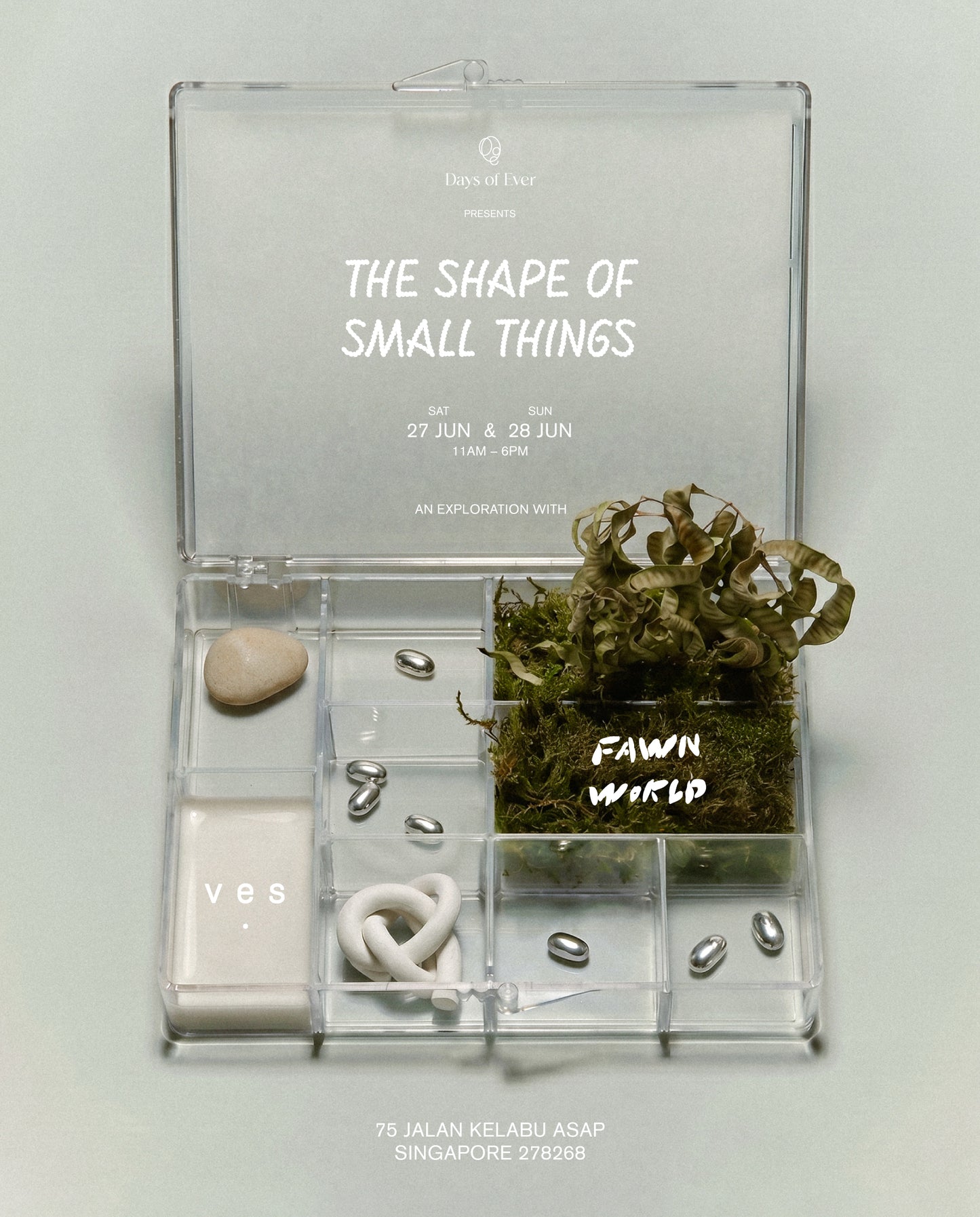 THE KNOT - Days Of Ever X VES X Fawn World
